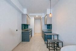 Haus On Handy (D9), Condominium #537817651
